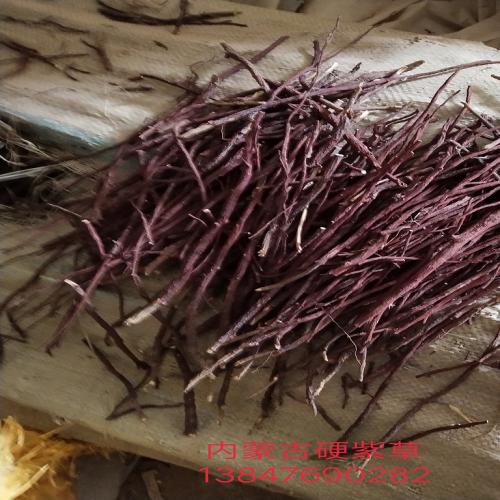 内蒙古地产硬紫草、专供紫草批发价格电联