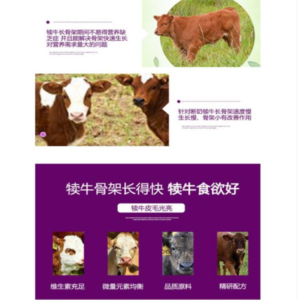 牛饲料，犊牛饲料， 母牛饲料，育成牛饲料