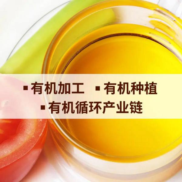 内蒙古有机冷榨亚麻籽油 低温萃取一级食用油 有机亚麻籽、亚麻仁油 贴牌加工 量大从优 258ml